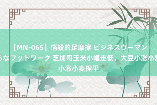 【MN-065】悩殺的足摩擦 ビジネスウーマンの淫らなフットワーク 芝加哥玉米小幅走低，大豆小涨小麦捏平