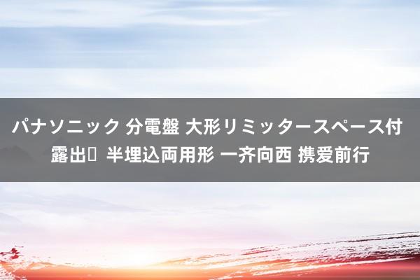 パナソニック 分電盤 大形リミッタースペース付 露出・半埋込両用形 一齐向西 携爱前行