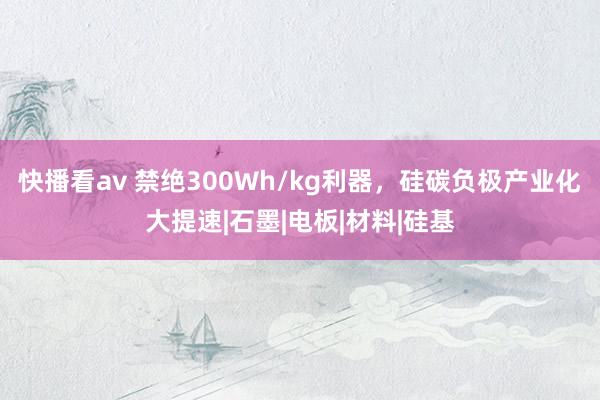 快播看av 禁绝300Wh/kg利器，硅碳负极产业化大提速|石墨|电板|材料|硅基